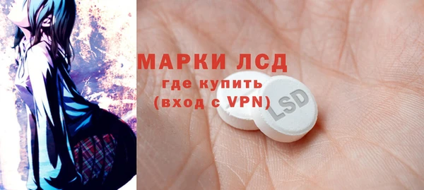 гидра Новодвинск