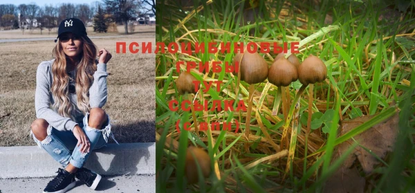 гидра Новодвинск