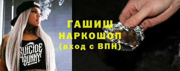гидра Новодвинск