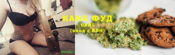 гидра Новодвинск