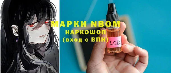 крисы Новокубанск