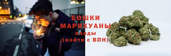 крисы Новокубанск