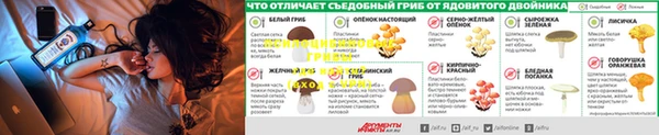 гидра Новодвинск
