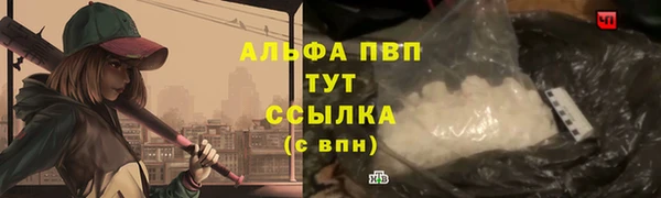 ГАЛЛЮЦИНОГЕННЫЕ ГРИБЫ Очёр