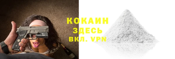 гидра Новодвинск