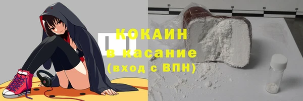крисы Новокубанск
