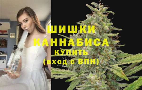 соль ск Павловск