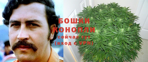 первитин Новозыбков