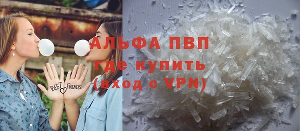 крисы Новокубанск