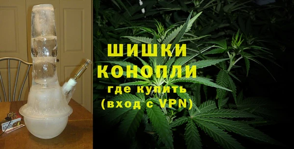 гидра Новодвинск