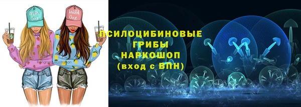 крисы Новокубанск