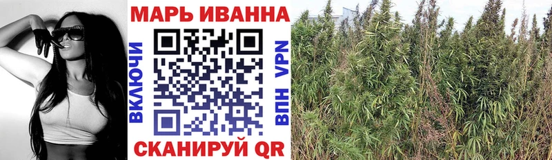 как найти наркотики  Серафимович  Марихуана индика 